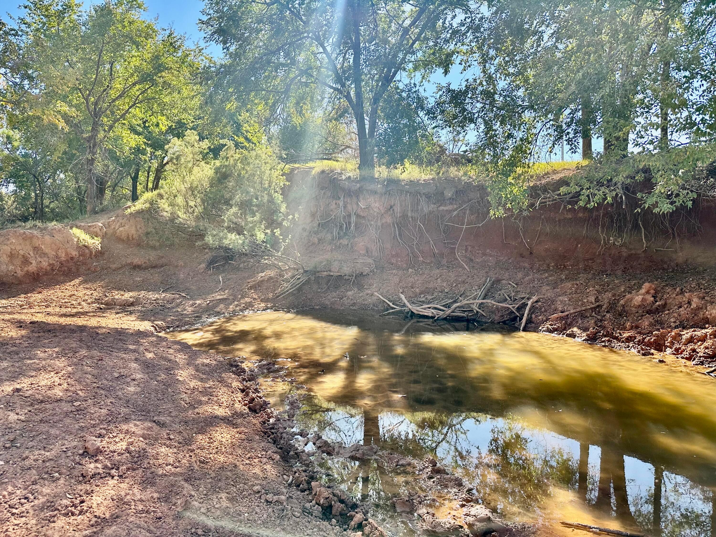 70 State Highway 70 Turkey, TX 79261 - Photo 25 of 28 a view of a yard