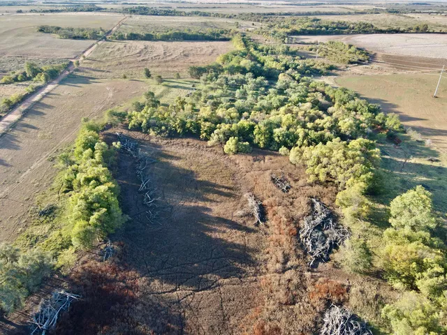 a view of a wooden deck with a yard and large trees