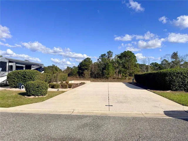 a street view with large trees