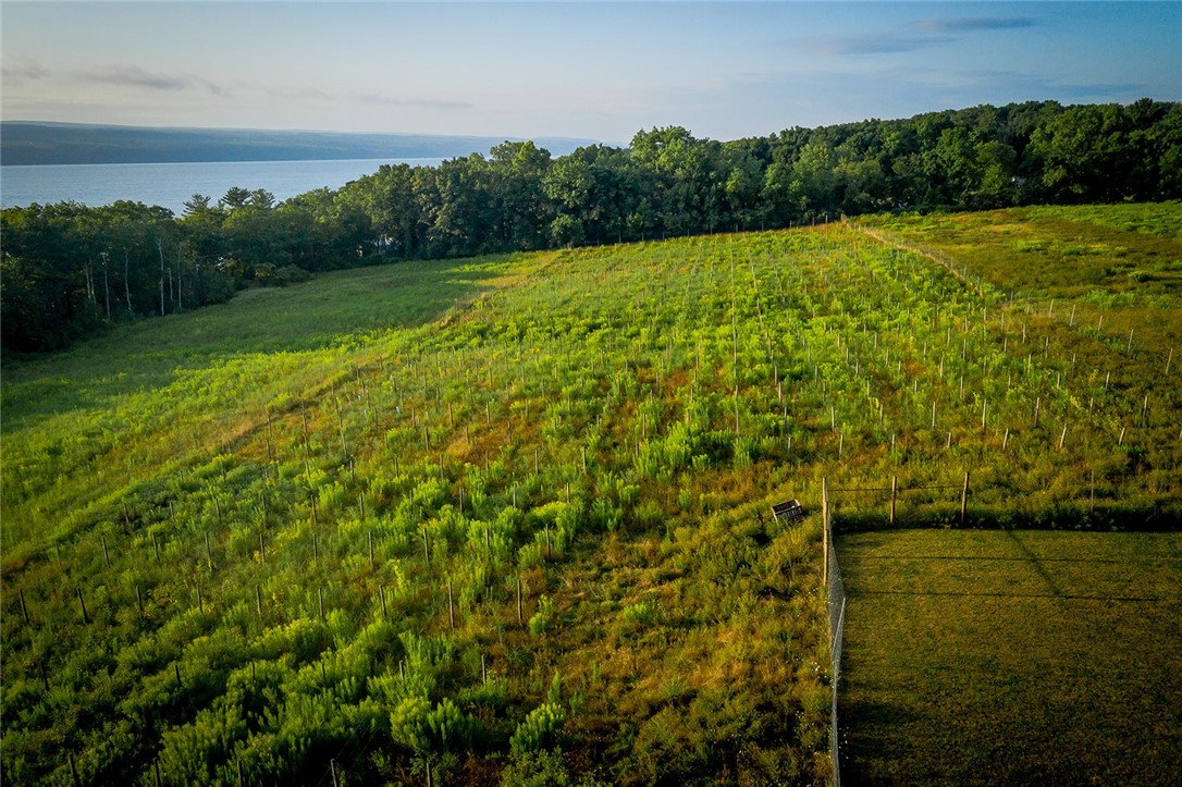 211 Hall Road Milo, NY 14842 - Photo 41 of 46