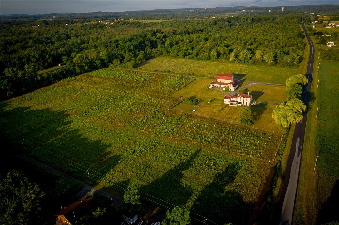 211 Hall Road Milo, NY 14842 - Photo 42 of 46