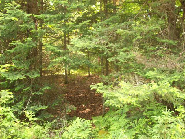Lot 7 Timber Wolf Road Presque Isle, WI 54557 - Photo 3 of 5 Gallery Image 3