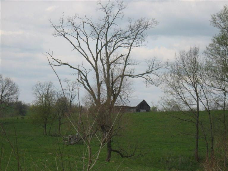 2404 Jackstown Road Carlisle, KY 40311 - Photo 22 of 36 Photo 22