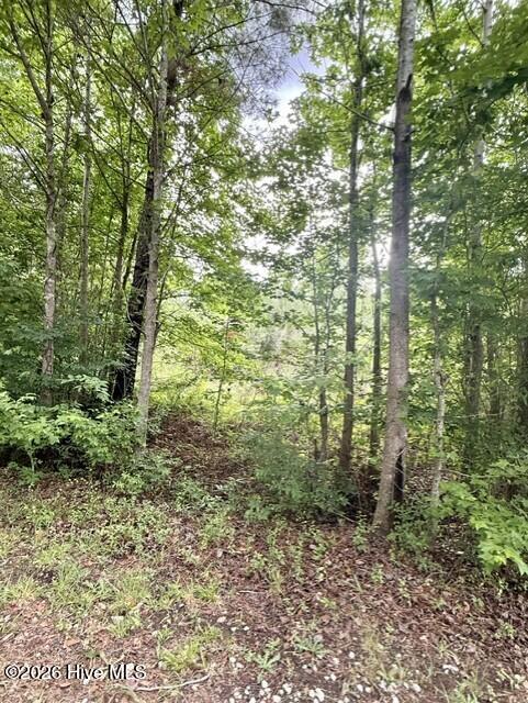1537 Joy Road Harlem, GA 30814 - Photo 2 of 7 da93fc68-7865-4709-9011-4e2ec732bf02