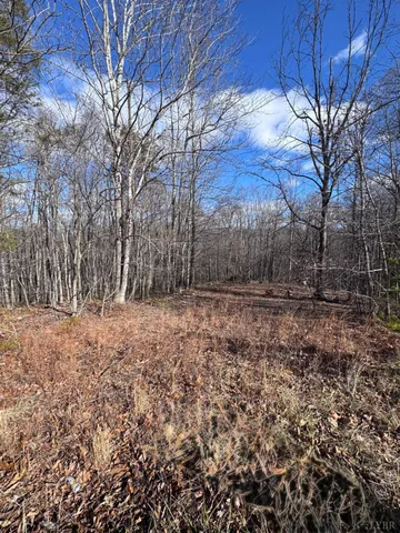 $34,990 | 0 Powell School Road, Big Island, VA 24526