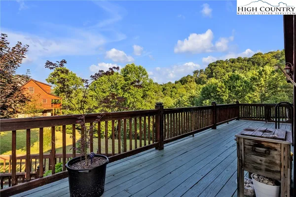 a view of a backyard with plants and a patio