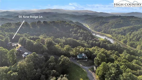 a living room with furniture flowers and a fireplace