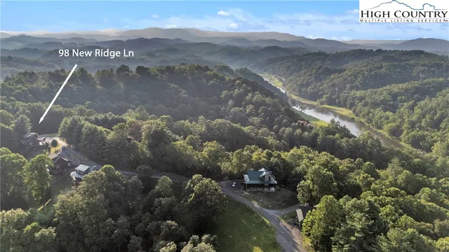 a living room with furniture flowers and a fireplace