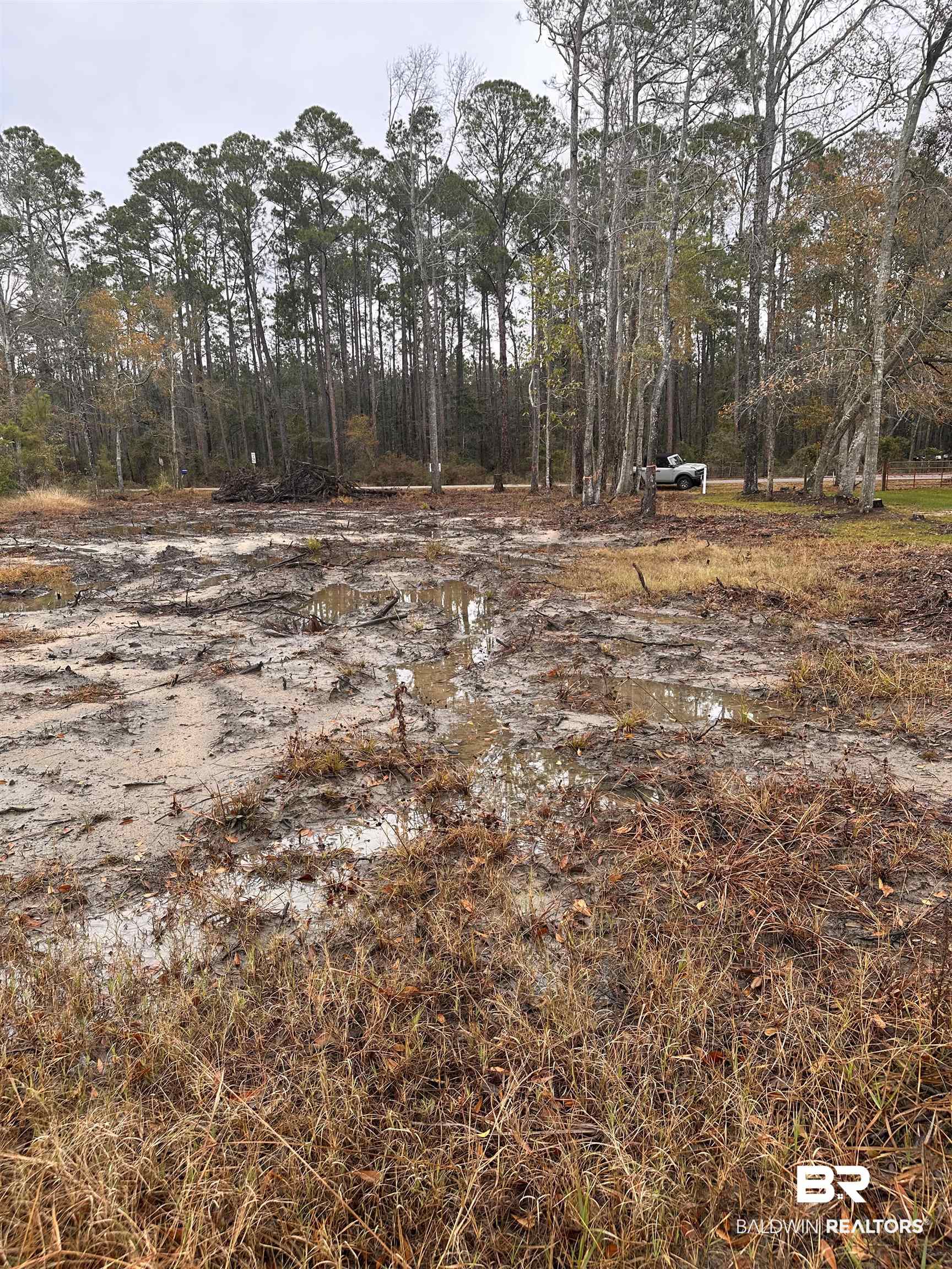 9311 South Bay Street Foley, AL 36535 - Photo 5 of 12