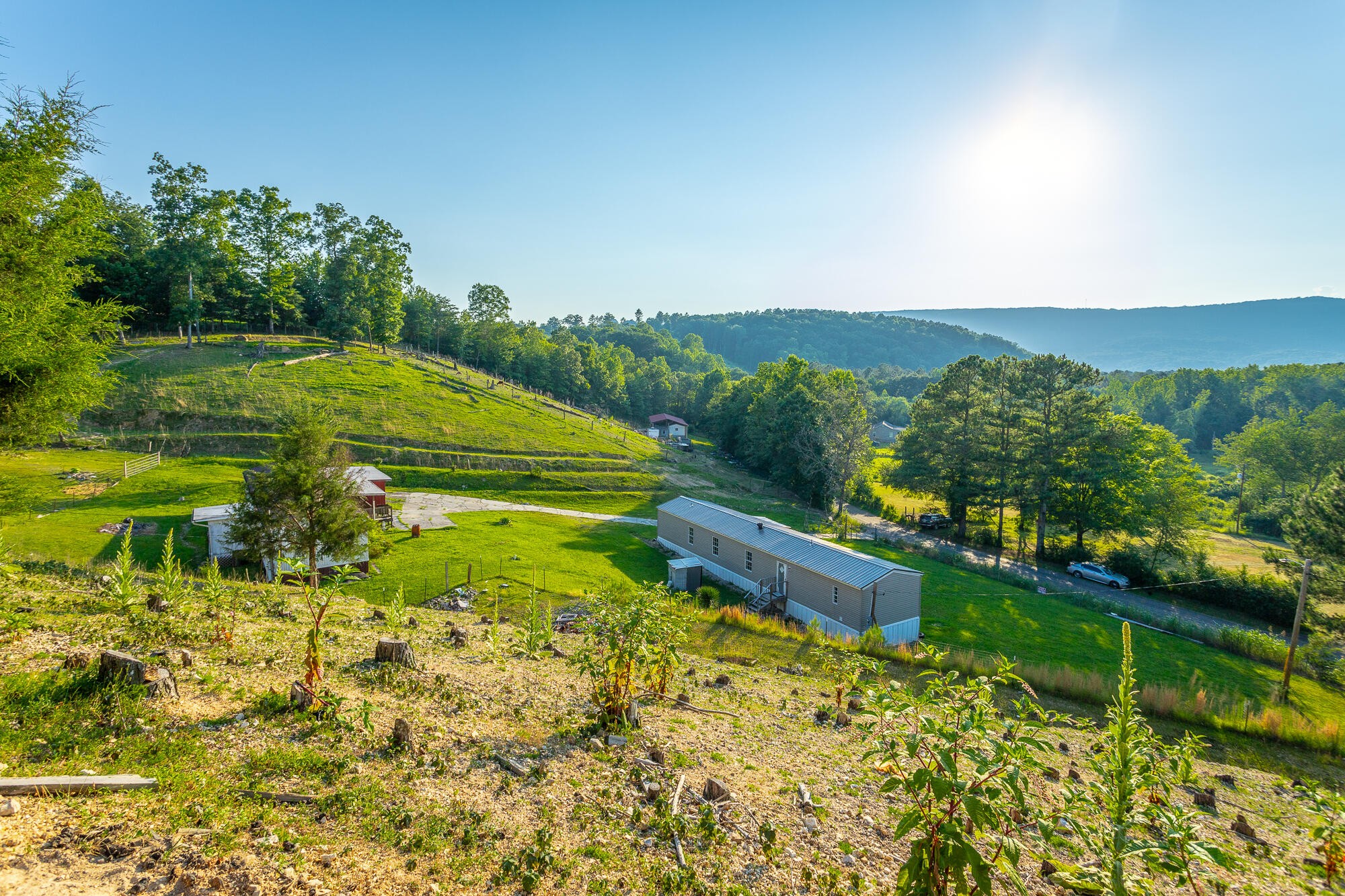 1240 Goose Pond Road Whitwell, TN 37397 - Photo 6 of 100 Gallery Image 6