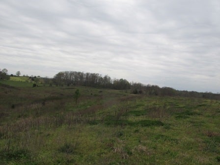 Fairview Church Road Smiths Grove, KY 42171 - Photo 17 of 34 Gallery Image 17