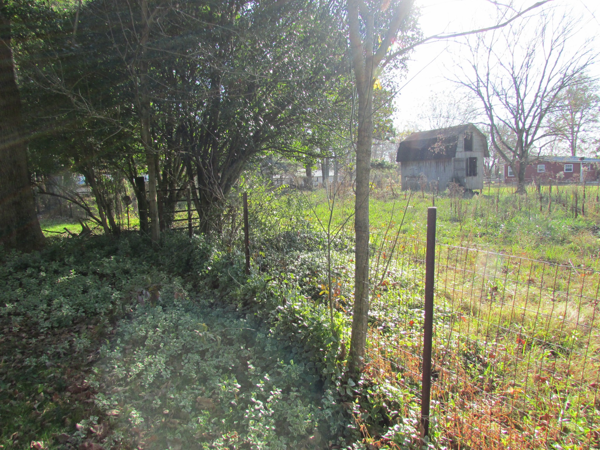 111 Howard Carr Road Manchester, TN 37355 - Photo 20 of 21