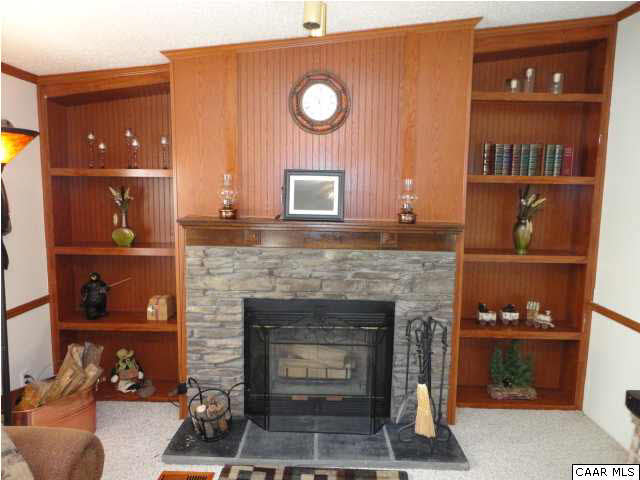 4040 Weakley Hollow Road Syria, VA 22743 - Photo 5 of 30 Fireplace