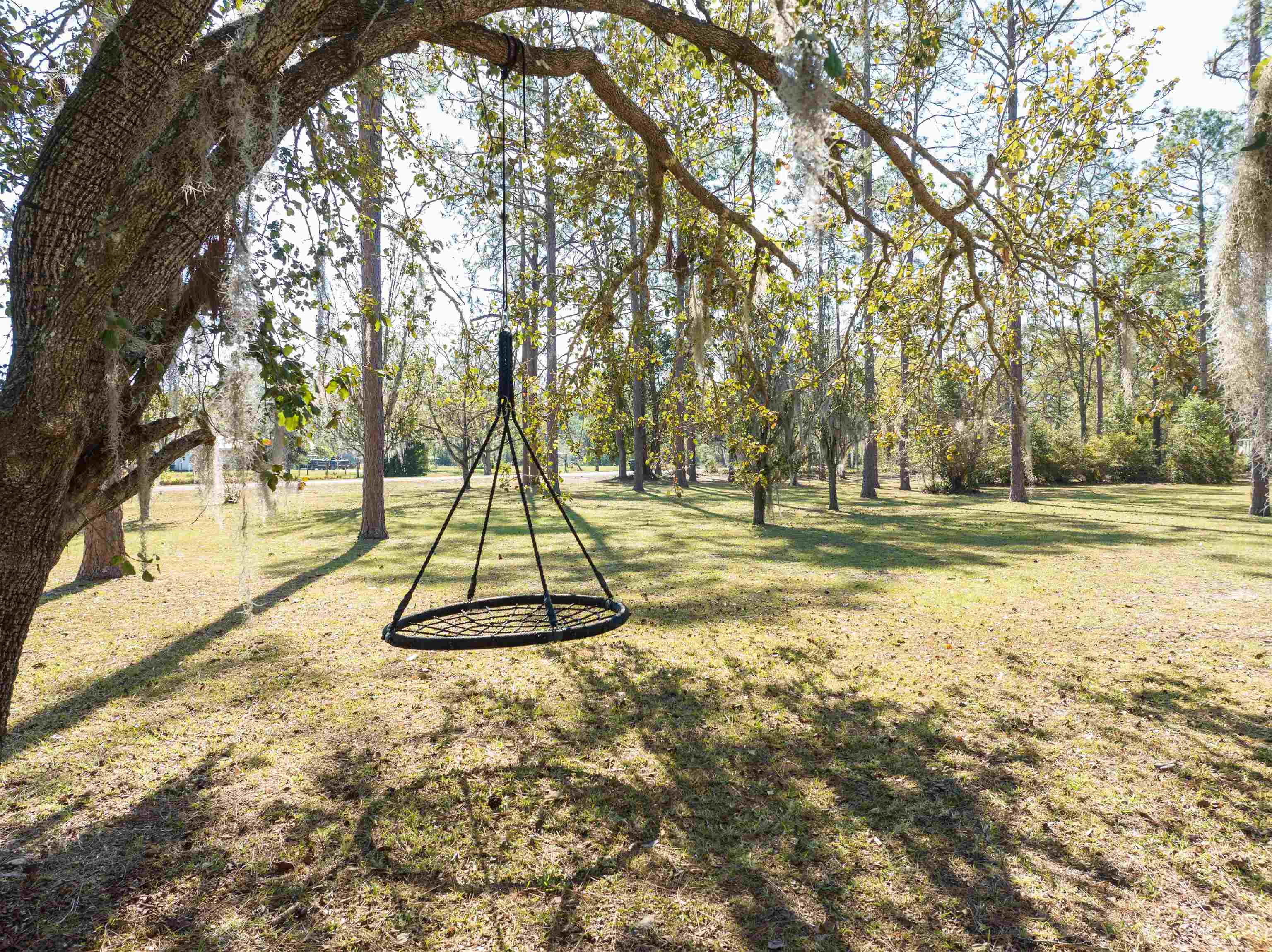 131 Springhill Road Perry, FL 32347 - Photo 5 of 40