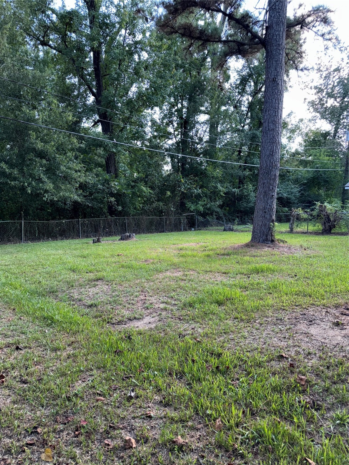 5335 Landry Lane Beaumont, TX 77708 - Photo 22 of 22 HUGE SPACIOUS BACKYARD. GREAT FOR PETS, GAMES AND FAMILY GATHERINGS.