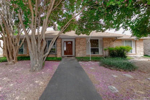 a view of a house with a tree in front of it
