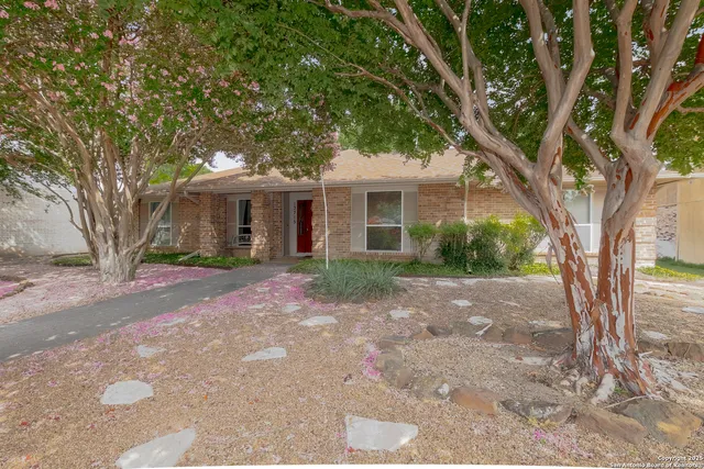 a front view of a house with yard and tree