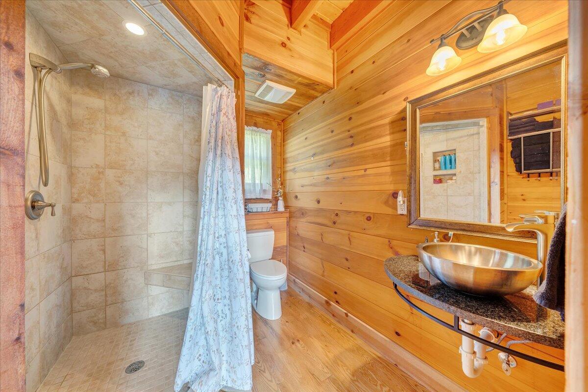 1769 Scenic View Road Moneta, VA 24121 - Photo 25 of 104 a bathroom with a granite countertop shower a sink and bathtub