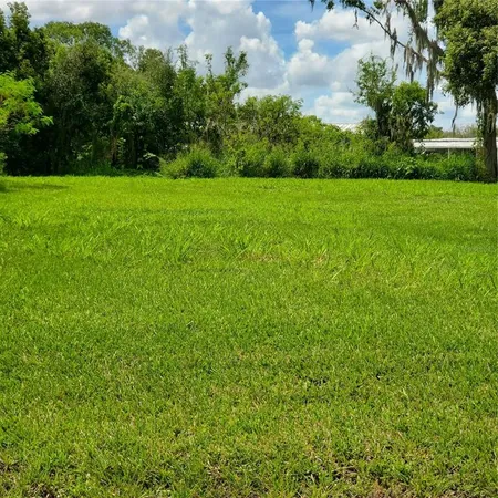 a view of a big yard with plants and large trees