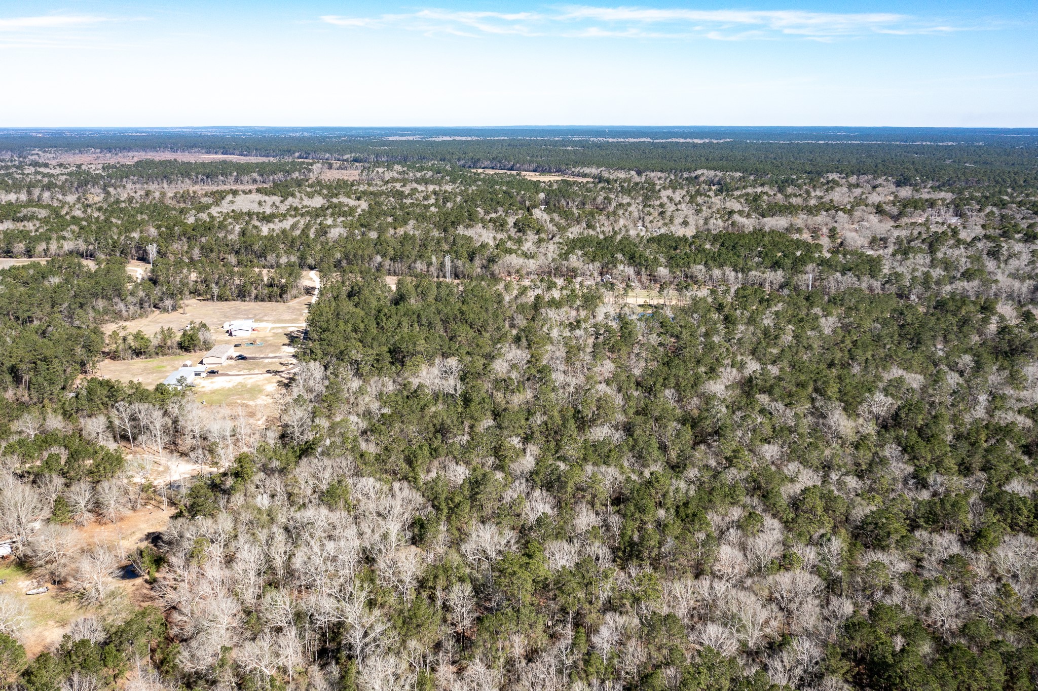 651 Jayhawker Road Cleveland, TX 77328 - Photo 11 of 15 Lot is heavily wooded and private