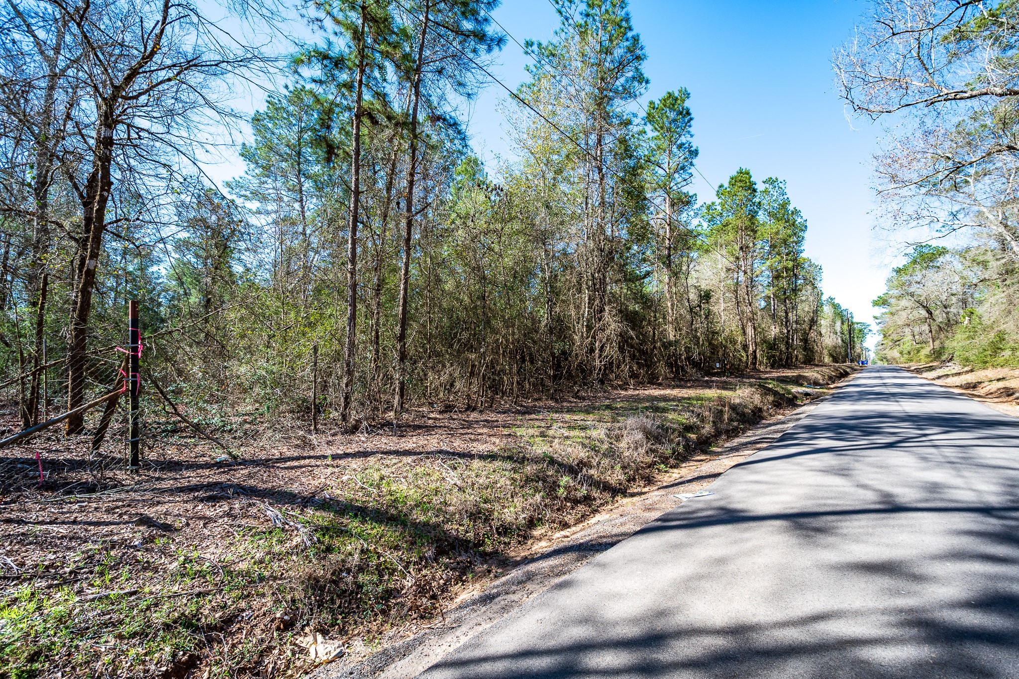 651 Jayhawker Road Cleveland, TX 77328 - Photo 6 of 15 View from the front of the property