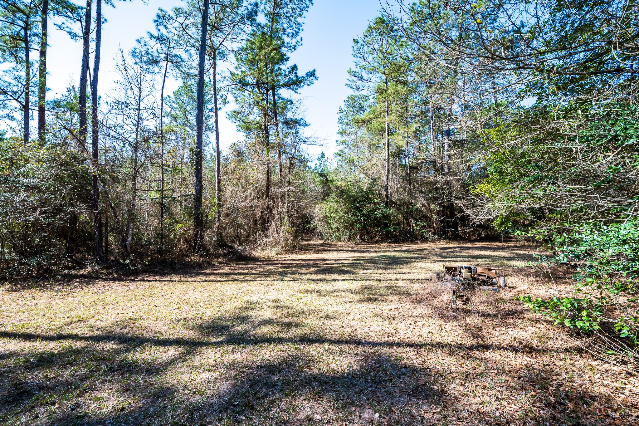 651 Jayhawker Road Cleveland, TX 77328 - Photo 7 of 15 Partial clearning on property for camper/RV