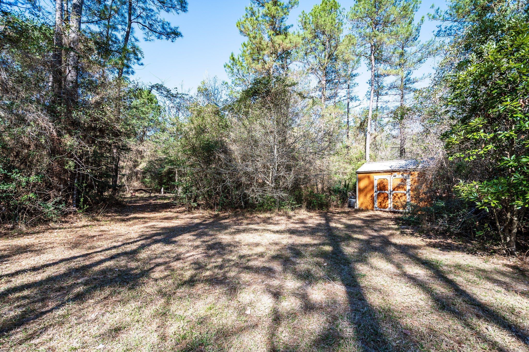 651 Jayhawker Road Cleveland, TX 77328 - Photo 8 of 15 Small storage shed included