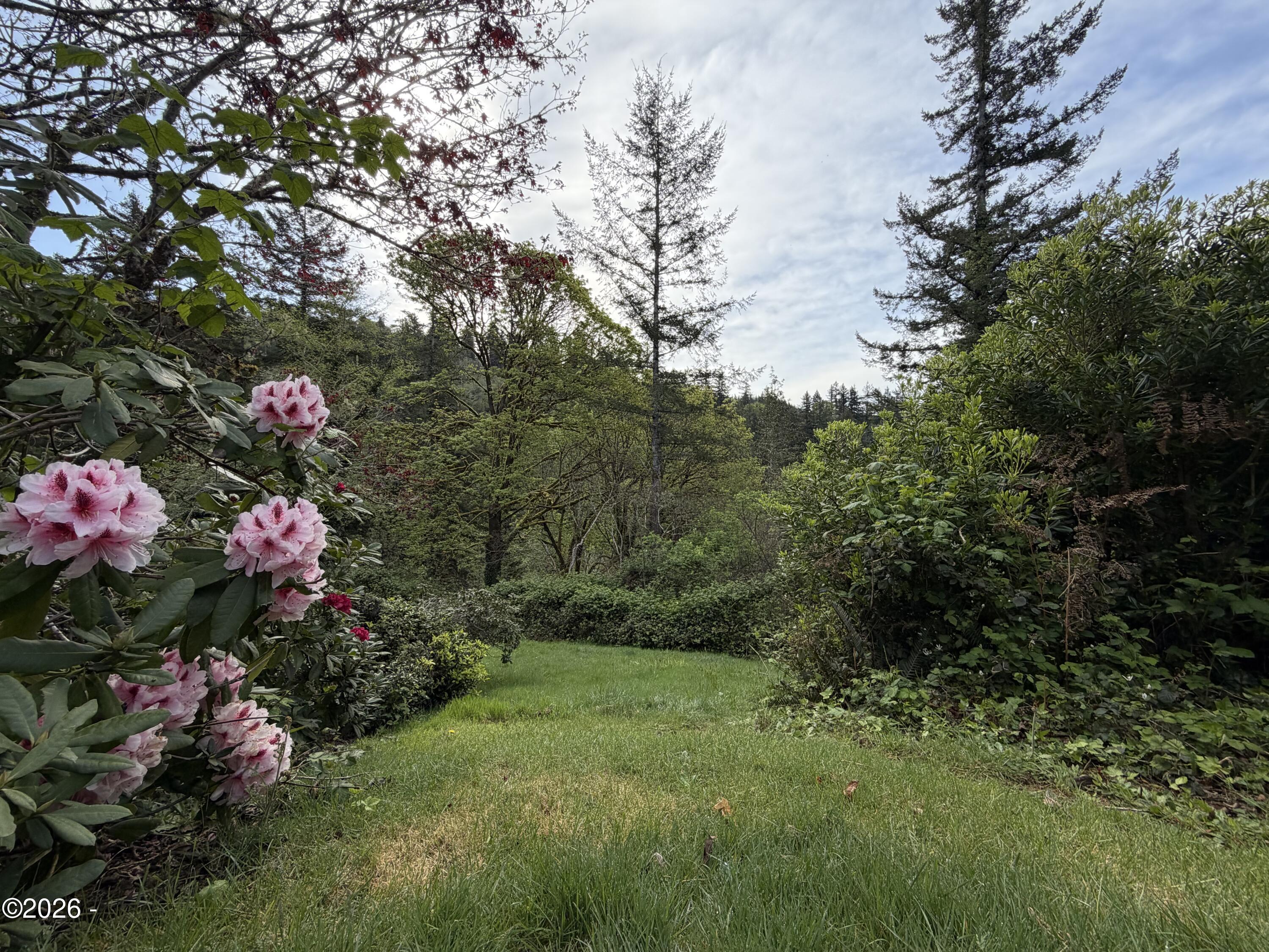 1318 Southeast Maple Street Toledo, OR 97391 - Photo 36 of 54 Backyard viewing mountains