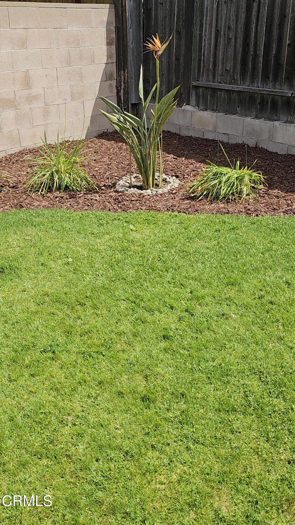 Undisclosed Address Oxnard, CA 93036 - Photo 21 of 22 a view of a backyard