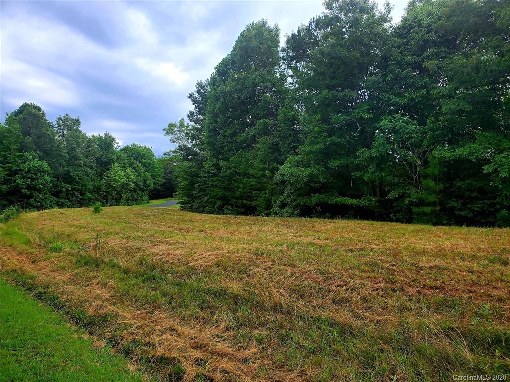 0 Fallen Tree Lane, Unit 27 Mill Spring, NC 28756 - Photo 2 of 24