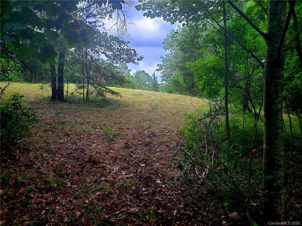 0 Fallen Tree Lane, Unit 27 Mill Spring, NC 28756 - Photo 11 of 24