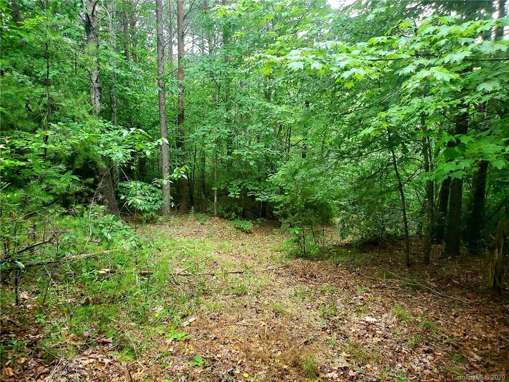 0 Fallen Tree Lane, Unit 27 Mill Spring, NC 28756 - Photo 12 of 24