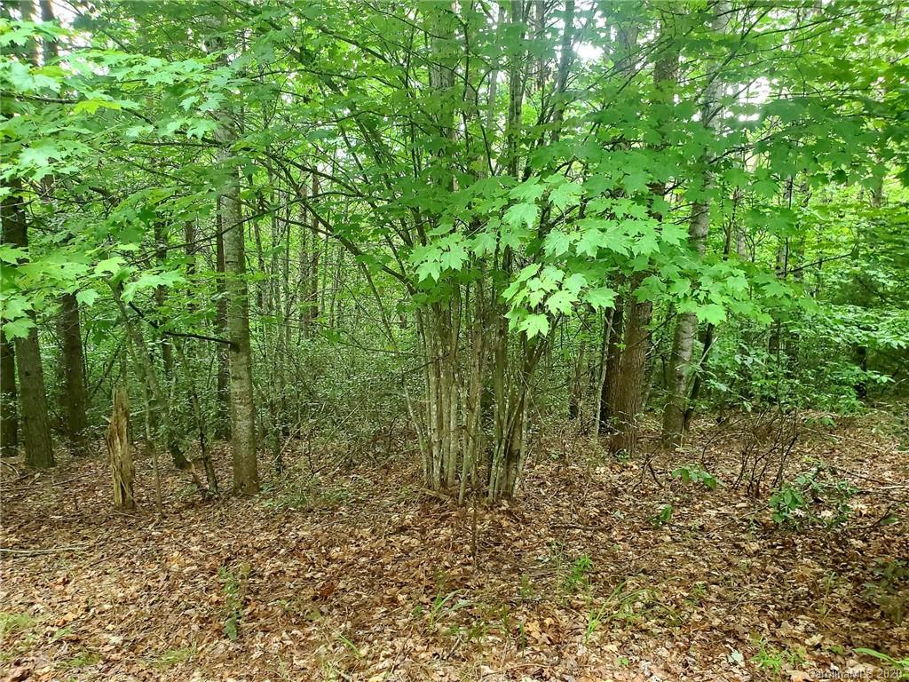 0 Fallen Tree Lane, Unit 27 Mill Spring, NC 28756 - Photo 13 of 24