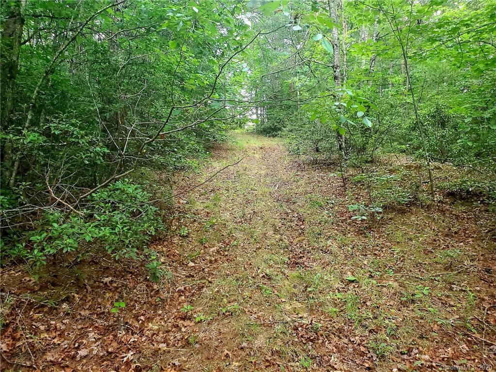 0 Fallen Tree Lane, Unit 27 Mill Spring, NC 28756 - Photo 14 of 24