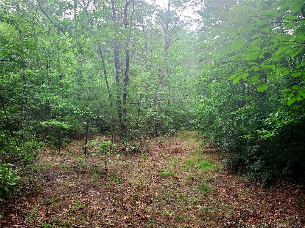 0 Fallen Tree Lane, Unit 27 Mill Spring, NC 28756 - Photo 15 of 24