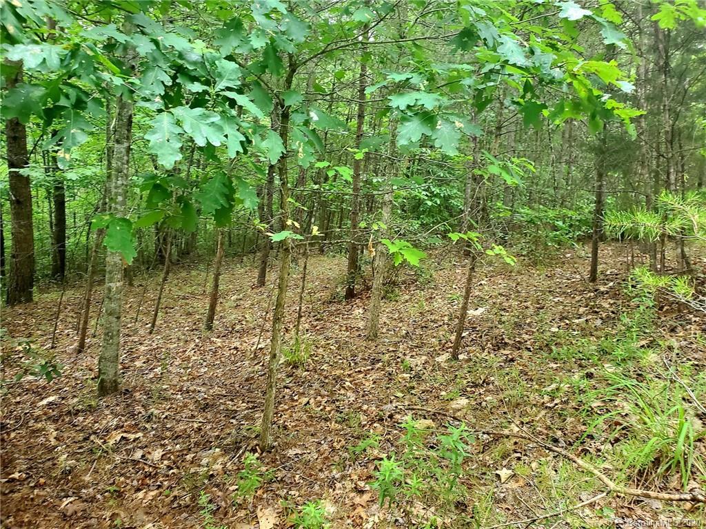 0 Fallen Tree Lane, Unit 27 Mill Spring, NC 28756 - Photo 16 of 24