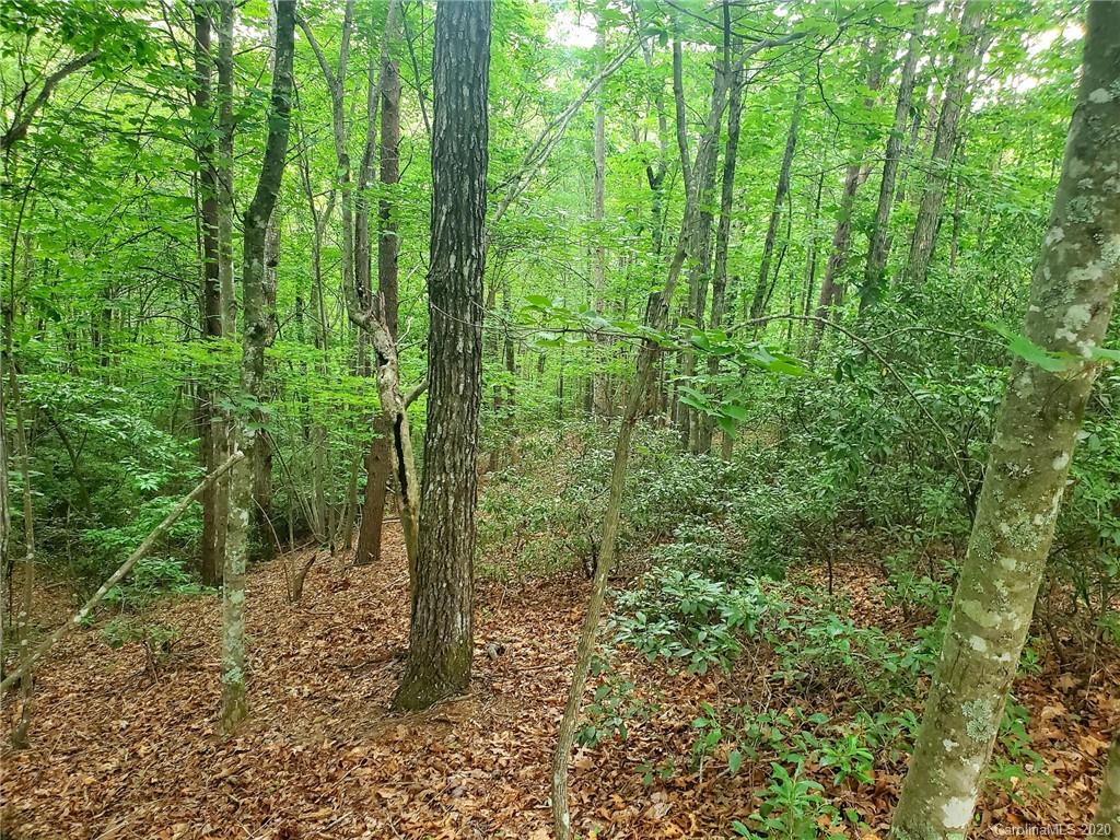 0 Fallen Tree Lane, Unit 27 Mill Spring, NC 28756 - Photo 17 of 24