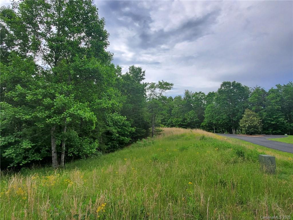 0 Fallen Tree Lane, Unit 27 Mill Spring, NC 28756 - Photo 19 of 24