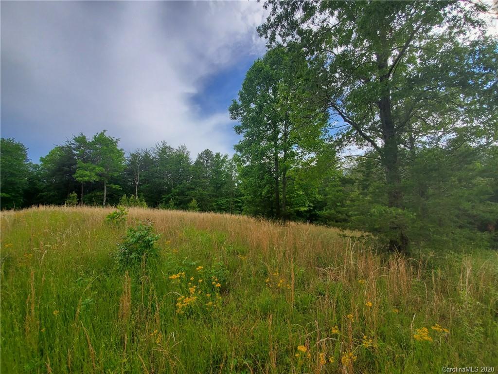 0 Fallen Tree Lane, Unit 27 Mill Spring, NC 28756 - Photo 20 of 24