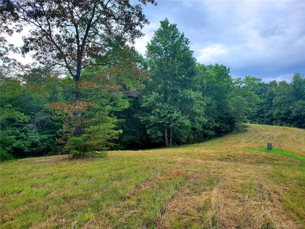0 Fallen Tree Lane, Unit 27 Mill Spring, NC 28756 - Photo 3 of 24
