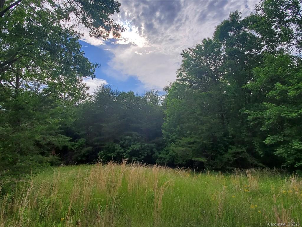 0 Fallen Tree Lane, Unit 27 Mill Spring, NC 28756 - Photo 21 of 24