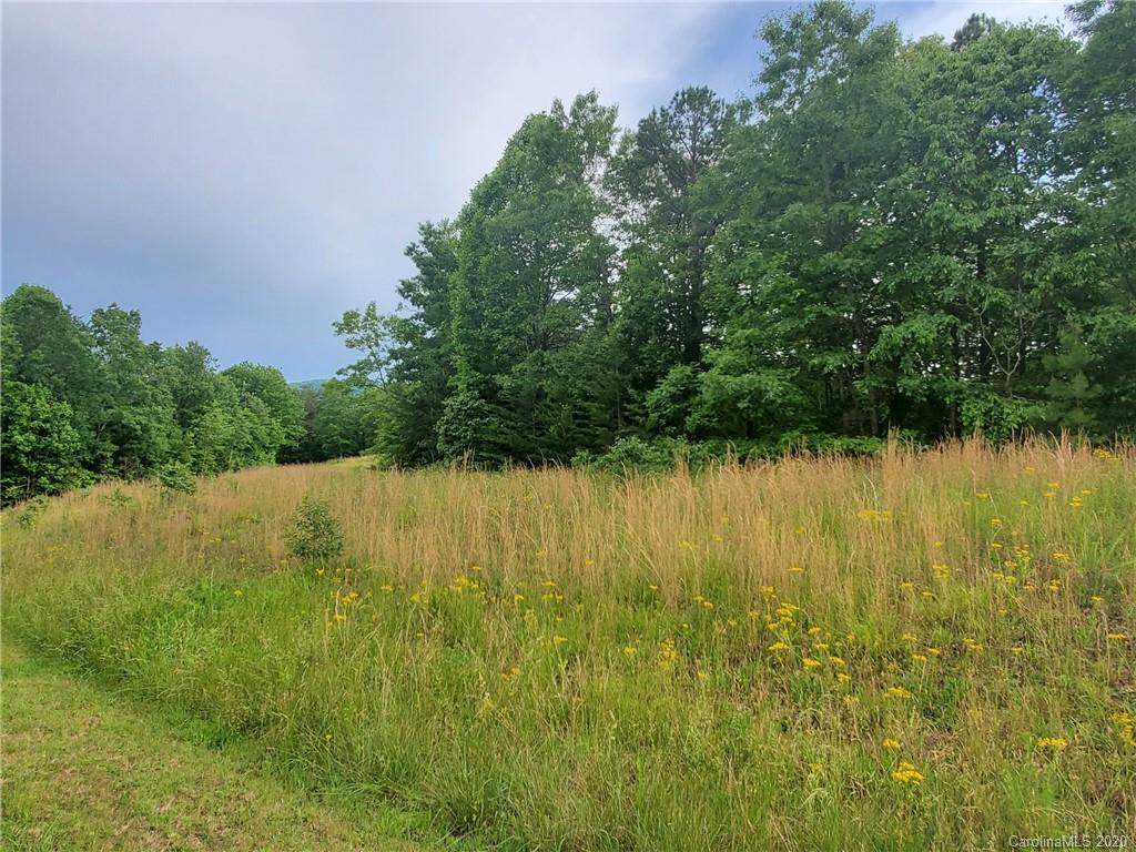0 Fallen Tree Lane, Unit 27 Mill Spring, NC 28756 - Photo 22 of 24