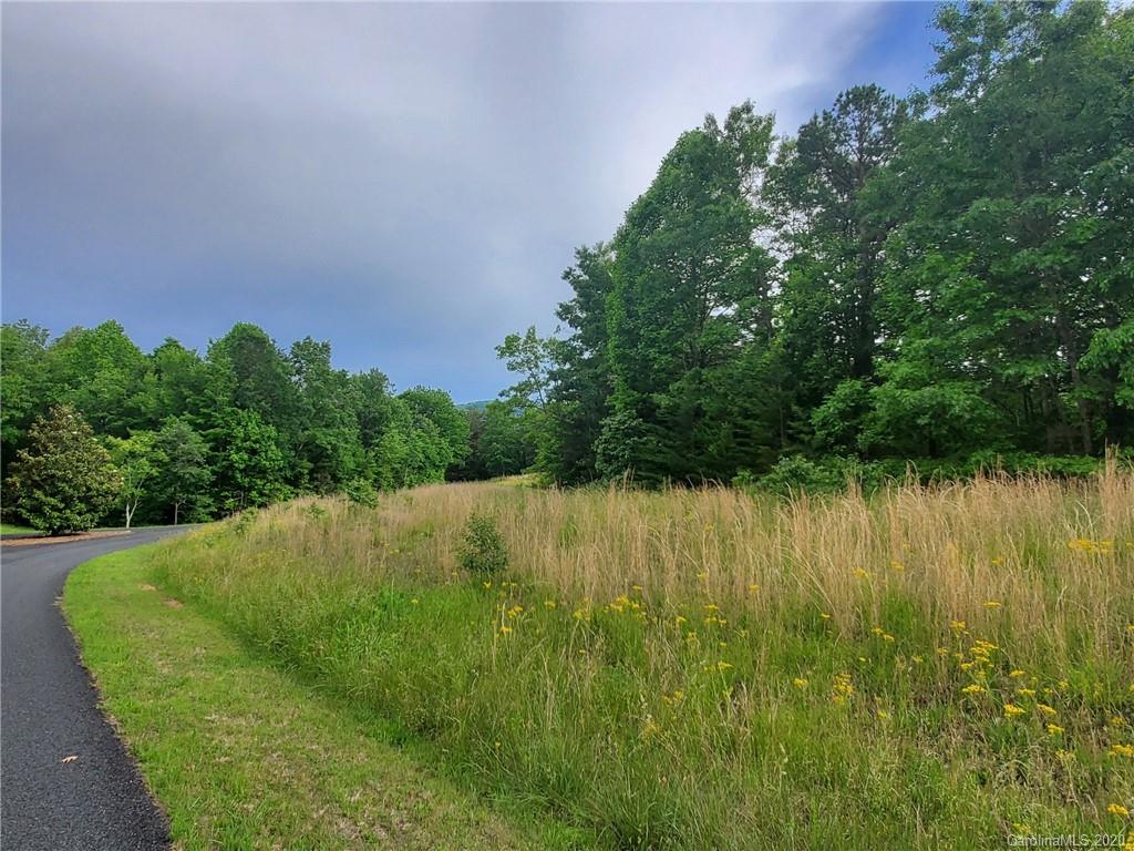 0 Fallen Tree Lane, Unit 27 Mill Spring, NC 28756 - Photo 23 of 24