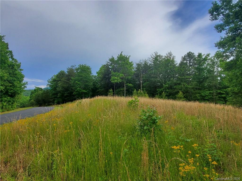 0 Fallen Tree Lane, Unit 27 Mill Spring, NC 28756 - Photo 24 of 24