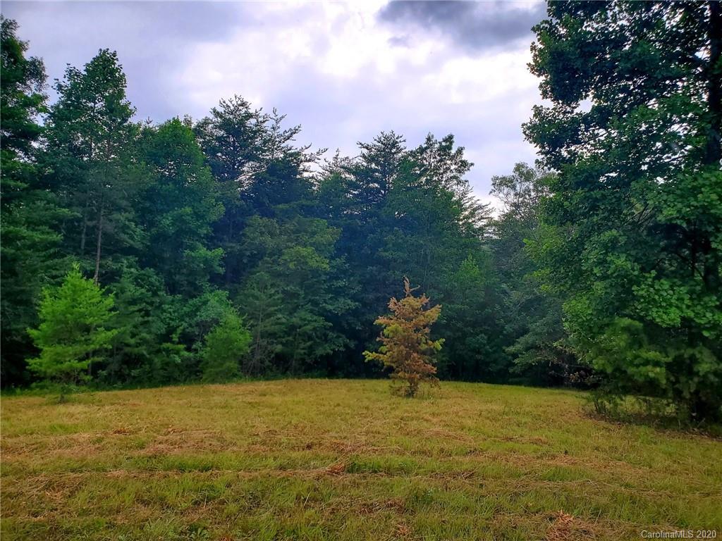 0 Fallen Tree Lane, Unit 27 Mill Spring, NC 28756 - Photo 4 of 24
