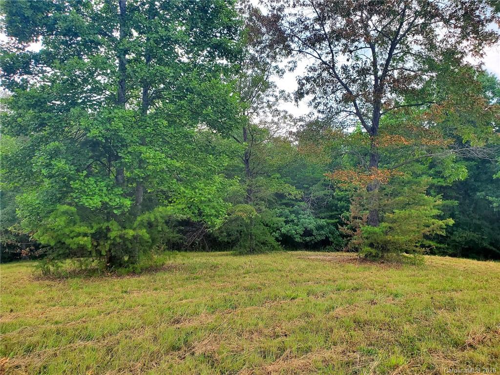 0 Fallen Tree Lane, Unit 27 Mill Spring, NC 28756 - Photo 5 of 24