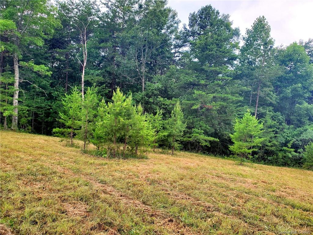 0 Fallen Tree Lane, Unit 27 Mill Spring, NC 28756 - Photo 6 of 24