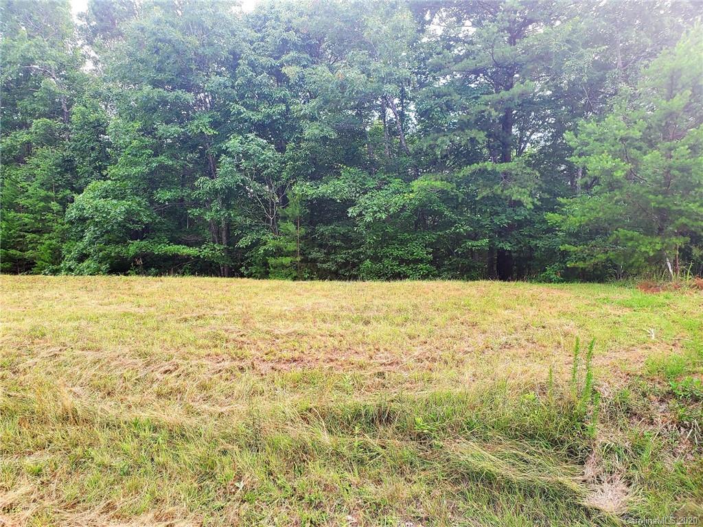 0 Fallen Tree Lane, Unit 27 Mill Spring, NC 28756 - Photo 7 of 24
