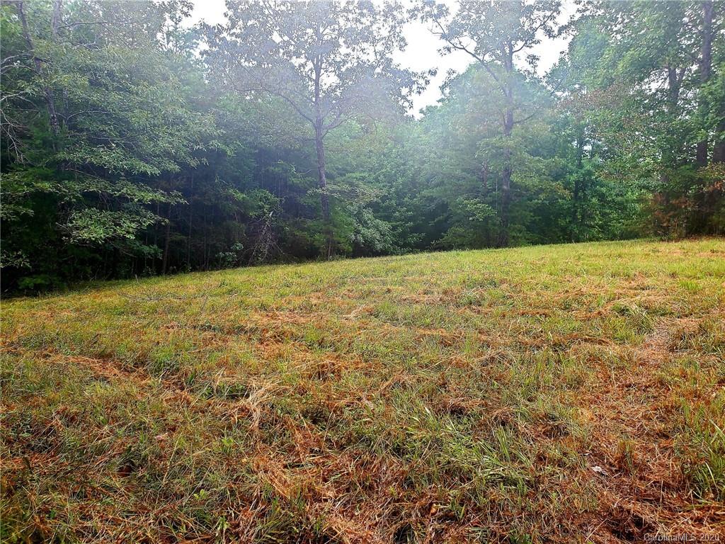0 Fallen Tree Lane, Unit 27 Mill Spring, NC 28756 - Photo 8 of 24