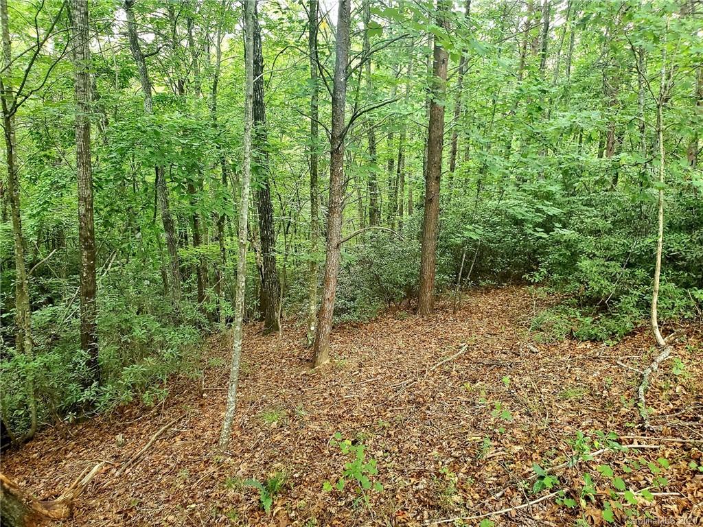 0 Fallen Tree Lane, Unit 27 Mill Spring, NC 28756 - Photo 9 of 24